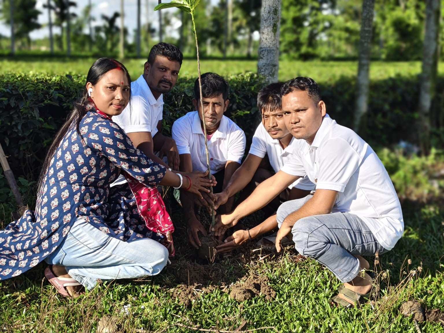 🌱 Tree Plantation Programme